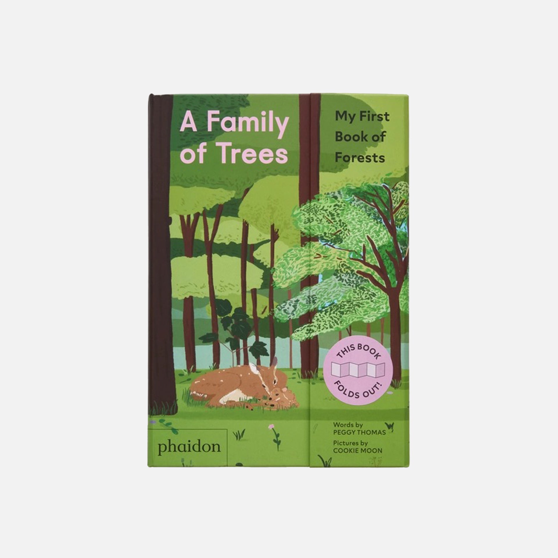 PHAIDON A Family of Trees: My First Book of Forests