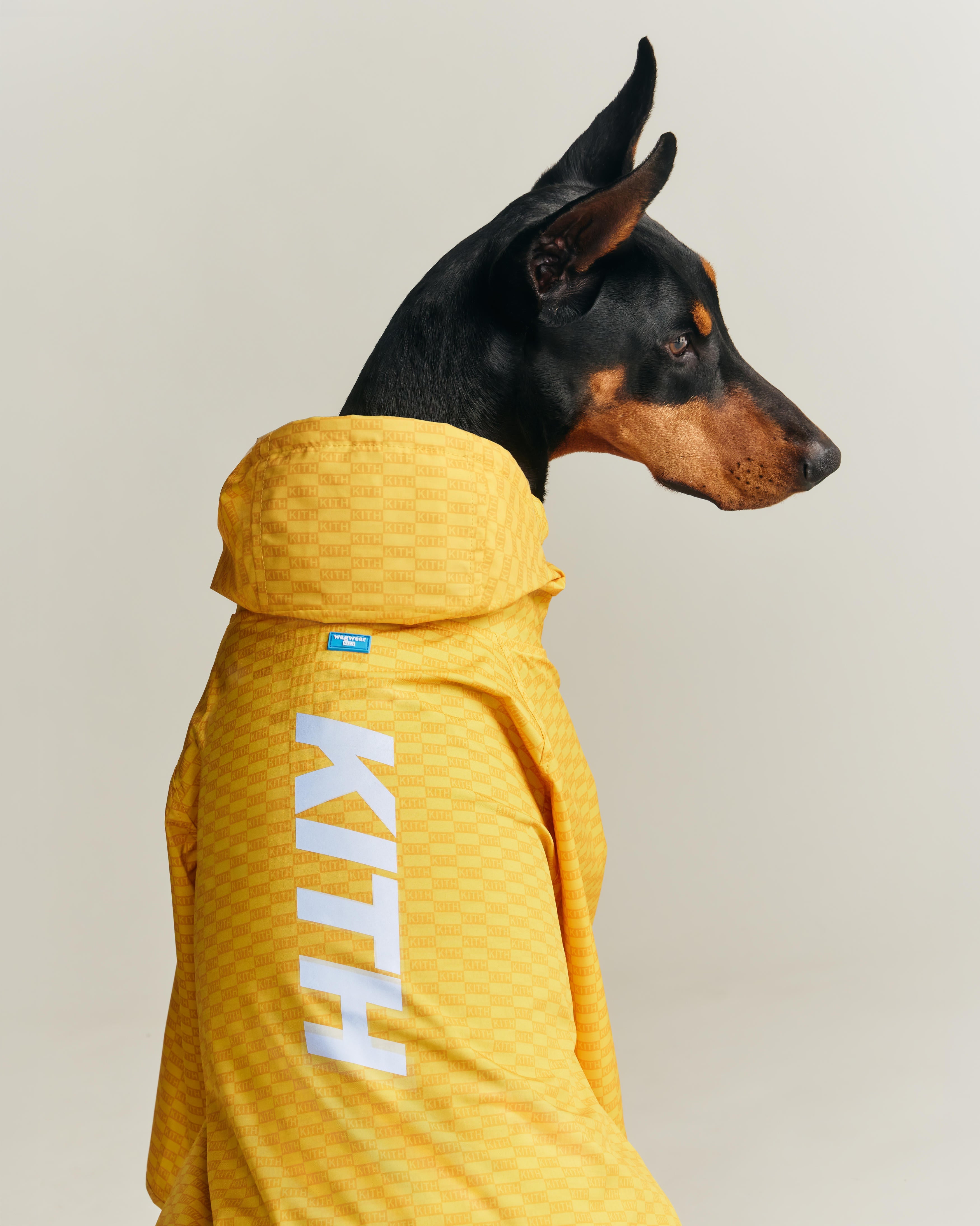 g*o様 激レア KITH Russell Athletic Kith x Russell Athletic