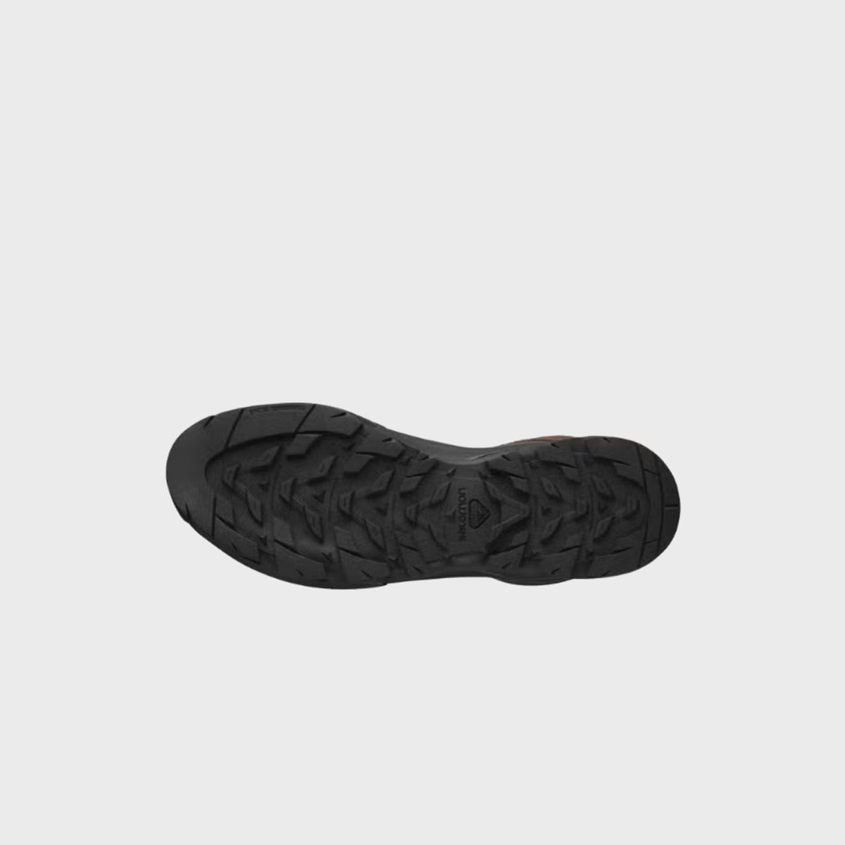 Salomon Tepiaz Advanced - Earth Brown / Black / Cloudburst