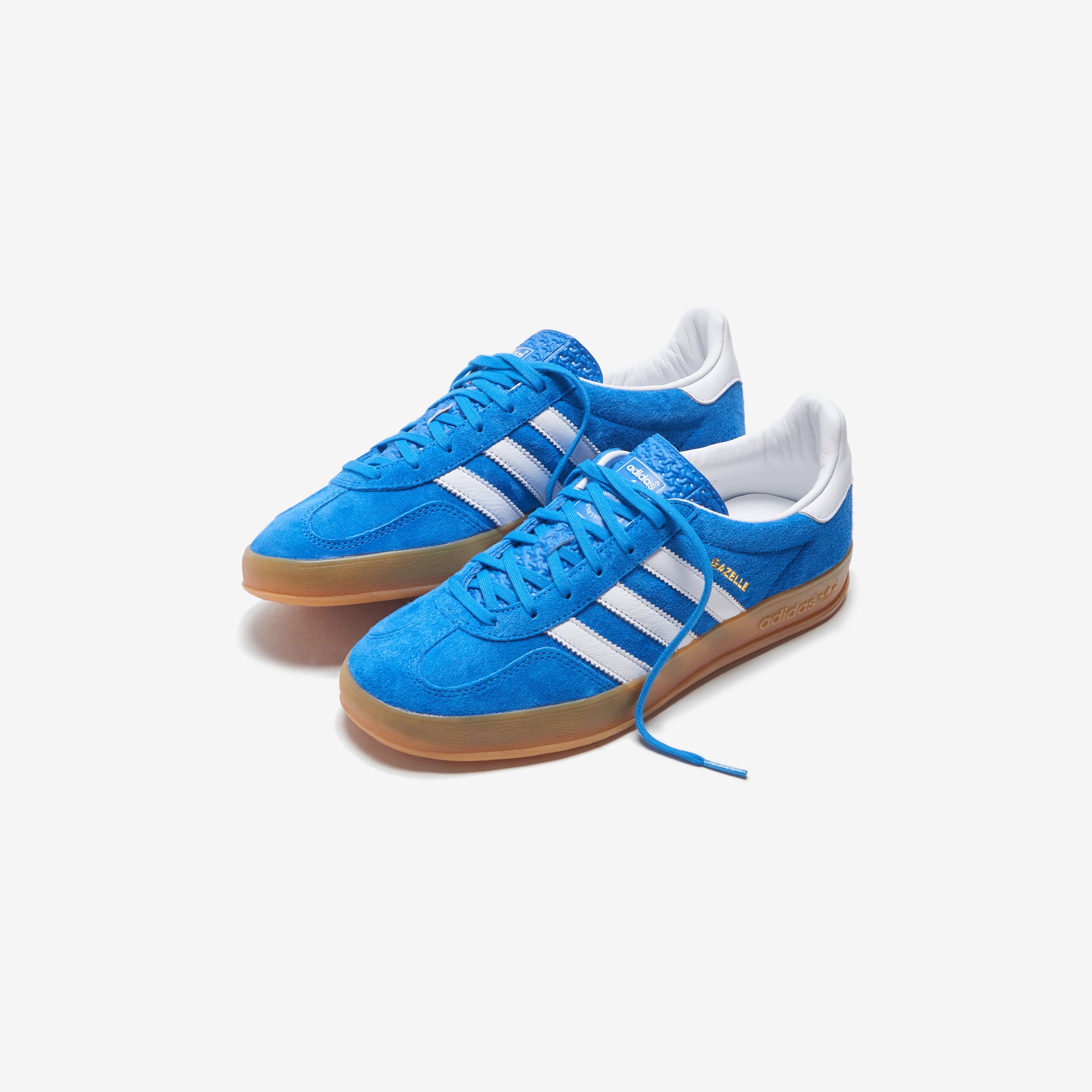 adidas Gazelle Indoor - Blue Bird / Cloud White