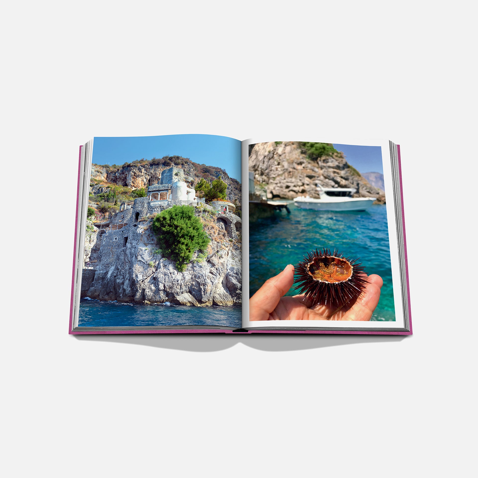 Assouline Amalfi Coast Book