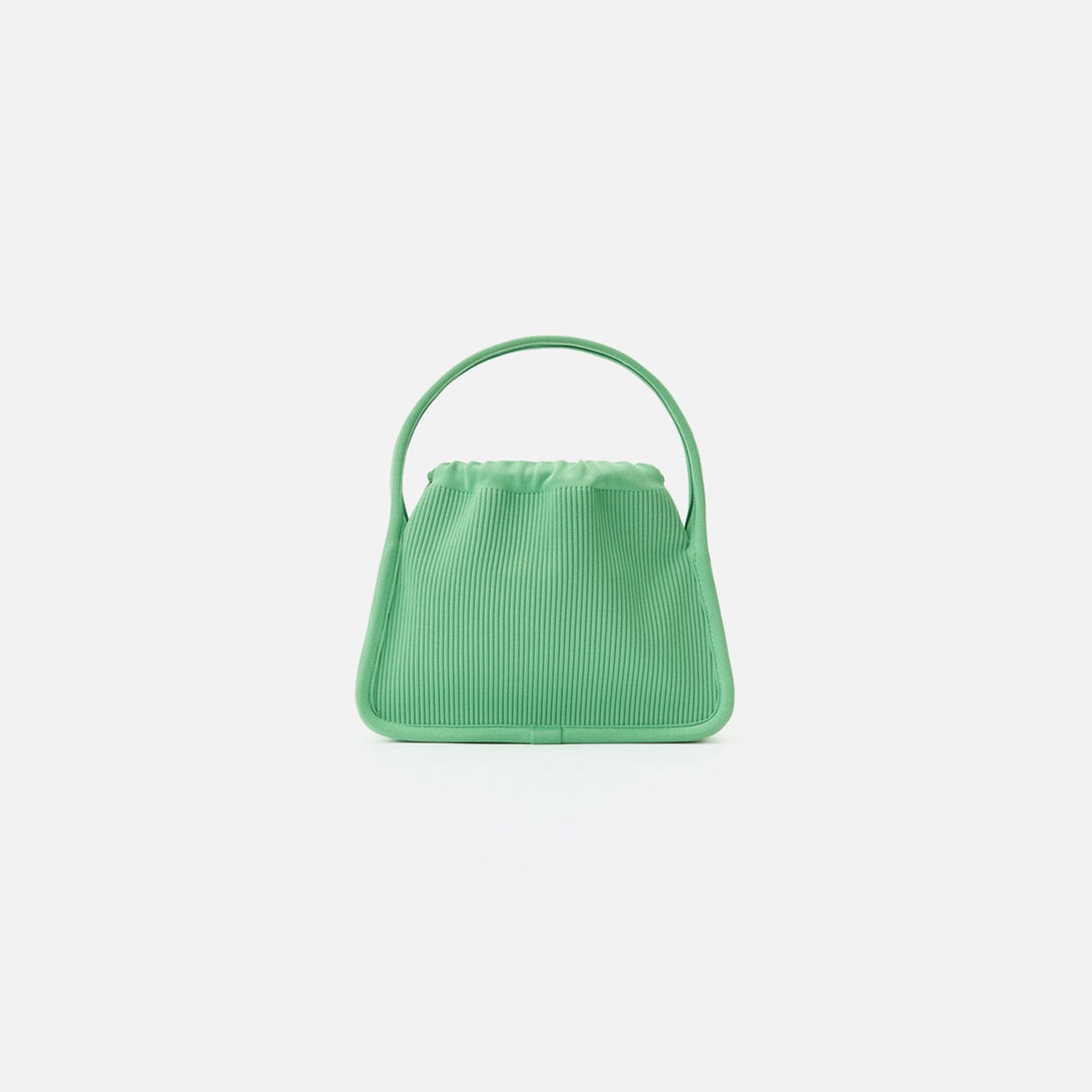 Alexander Wang Ryan Small Bag - Iguana