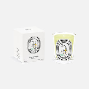 Diptyque Citronnelle Scented Candle 190g Limited Edition