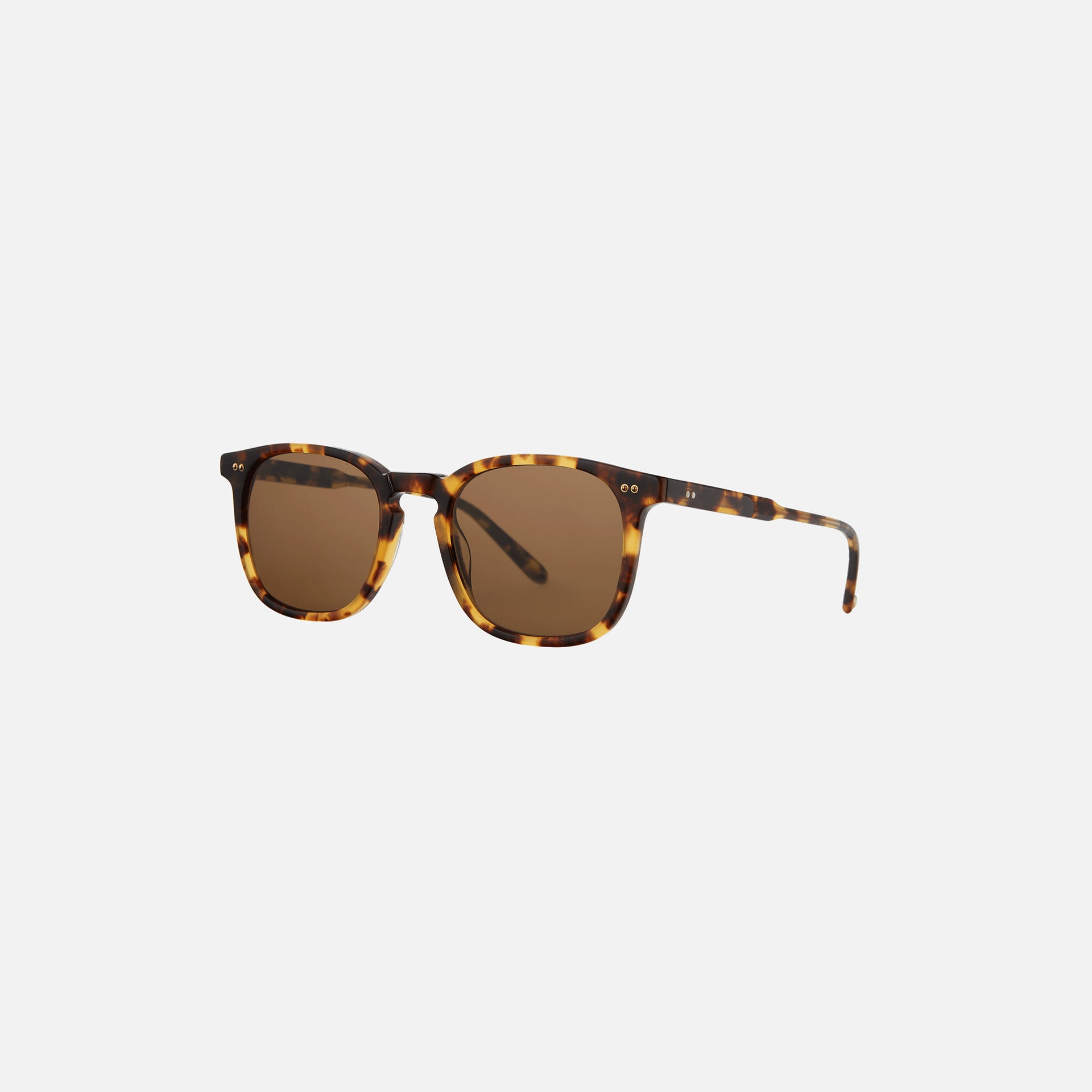 Garrett Leight Ruskin Sun - Brown