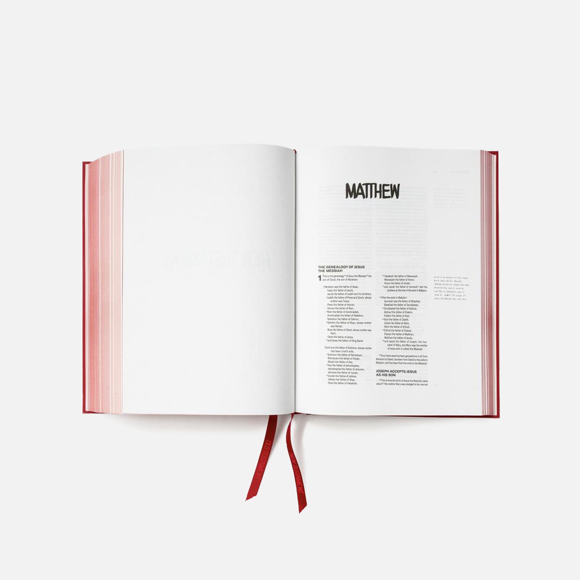 Good Publishing Co. GPC NIV BIBLE with HAZE