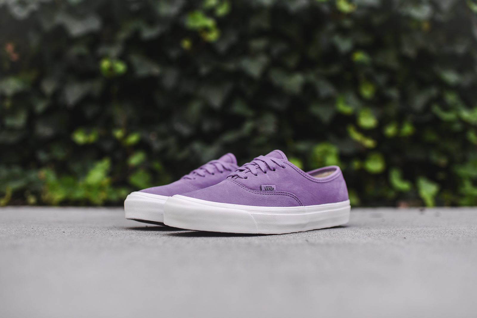 Vans OG Authentic LX - Orchid Mist