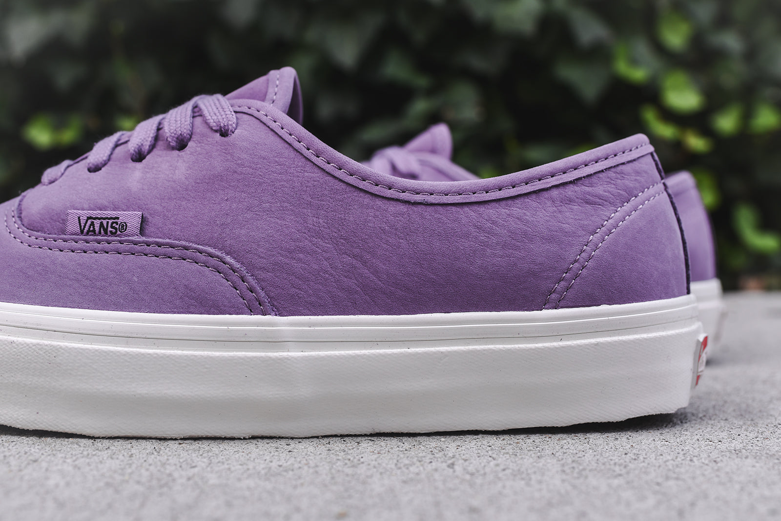 Vans OG Authentic LX - Orchid Mist