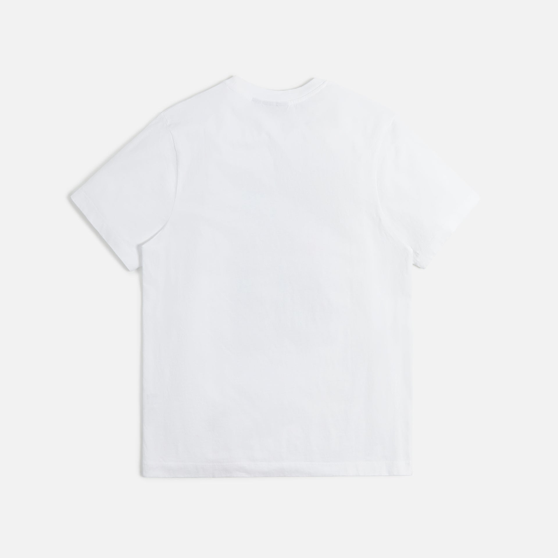 by Parra Bird in Hand Tee - White