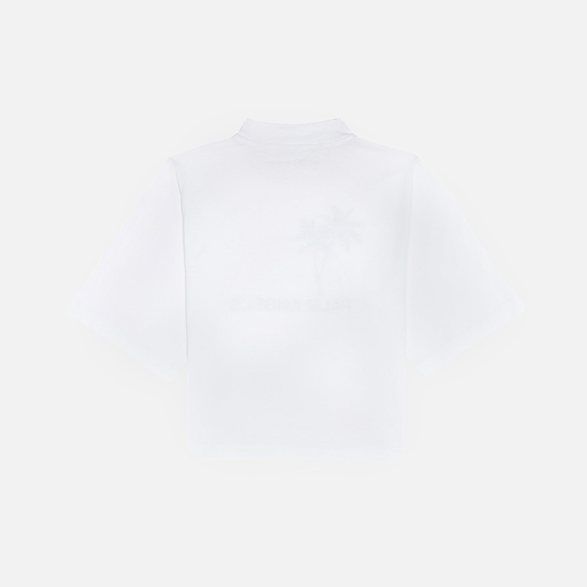 Palm Angels Rainbow Cropped Tee - White / Black