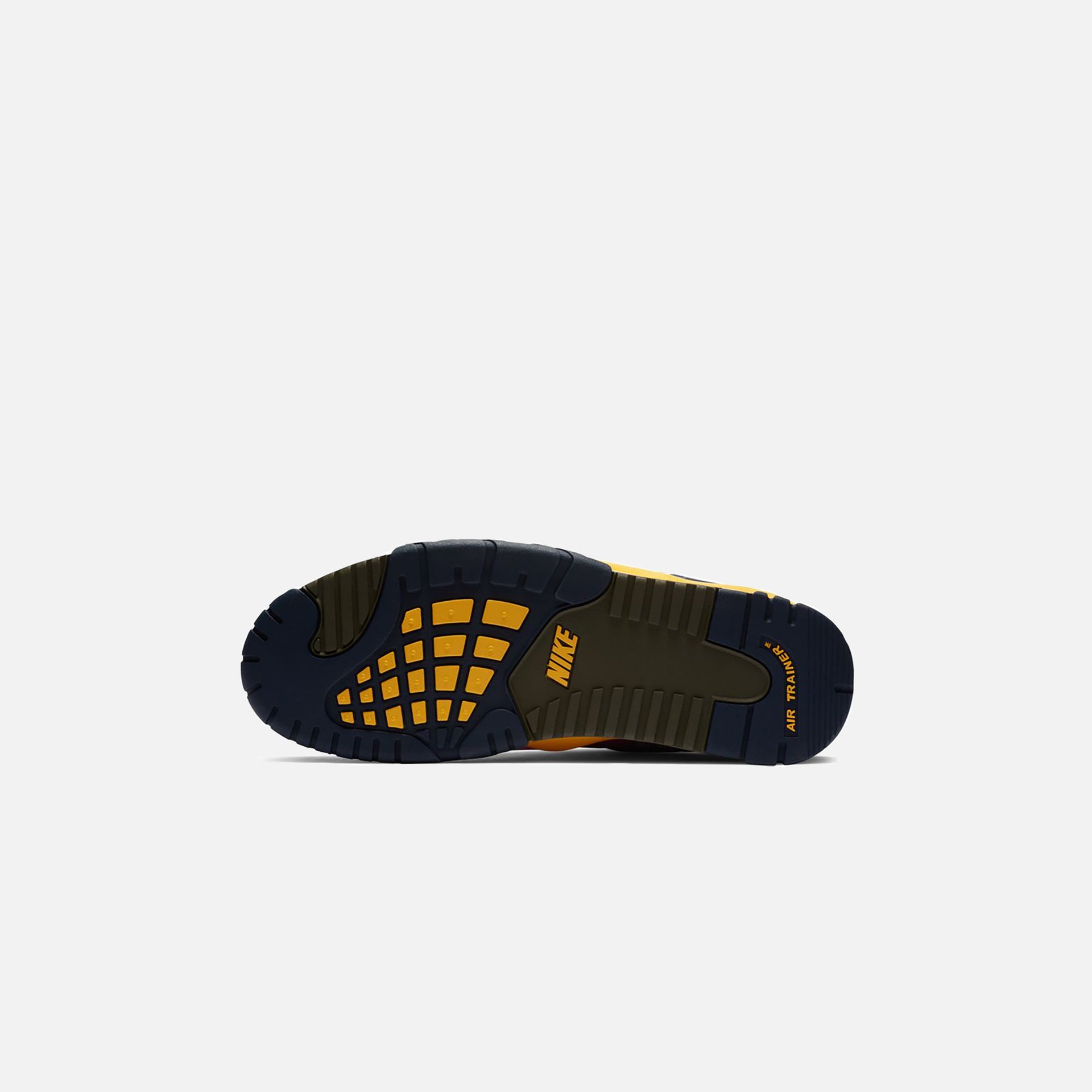 Nike Air Trainer 3 QS - Viotech / Dandelion