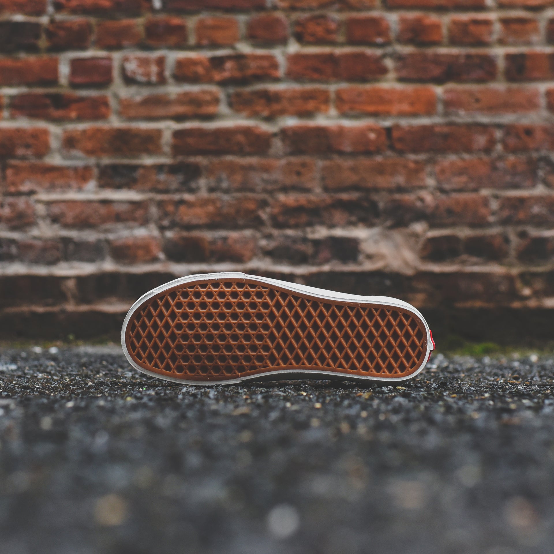 Vans Style 36 SF - Burnt Brick / Mars
